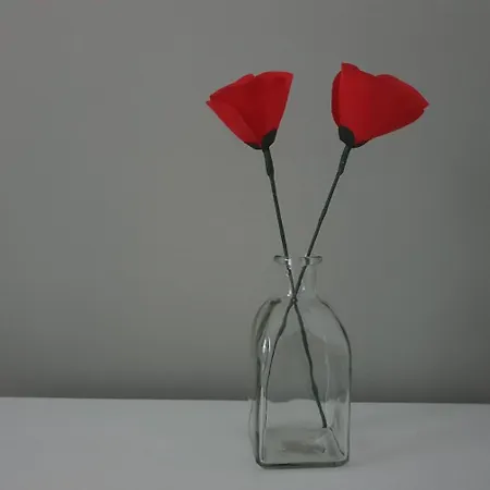 Doble Campuzano Ubytování v soukromí Bilbao